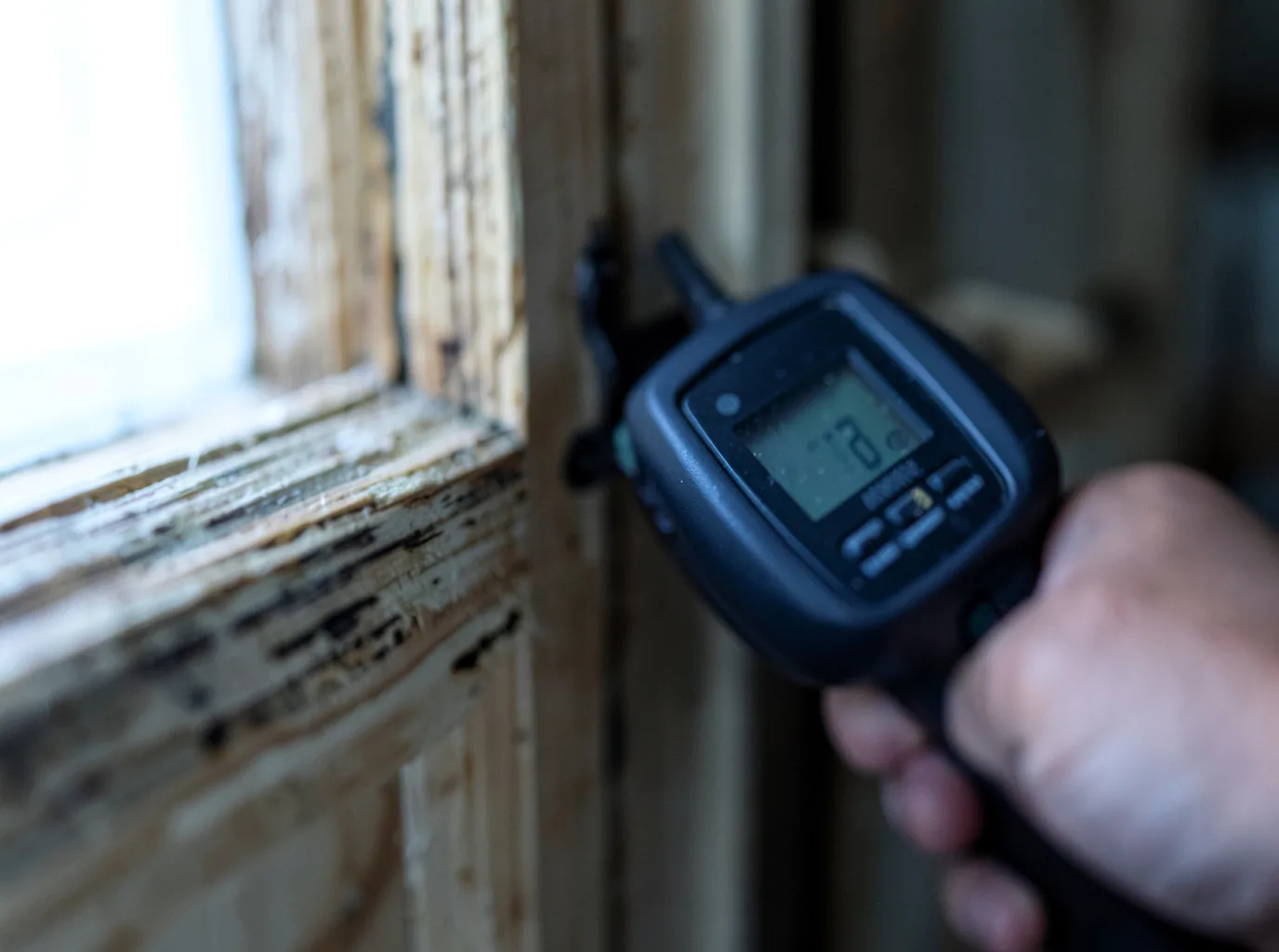 Moisture Inspection And Documentation in Stockton, UT